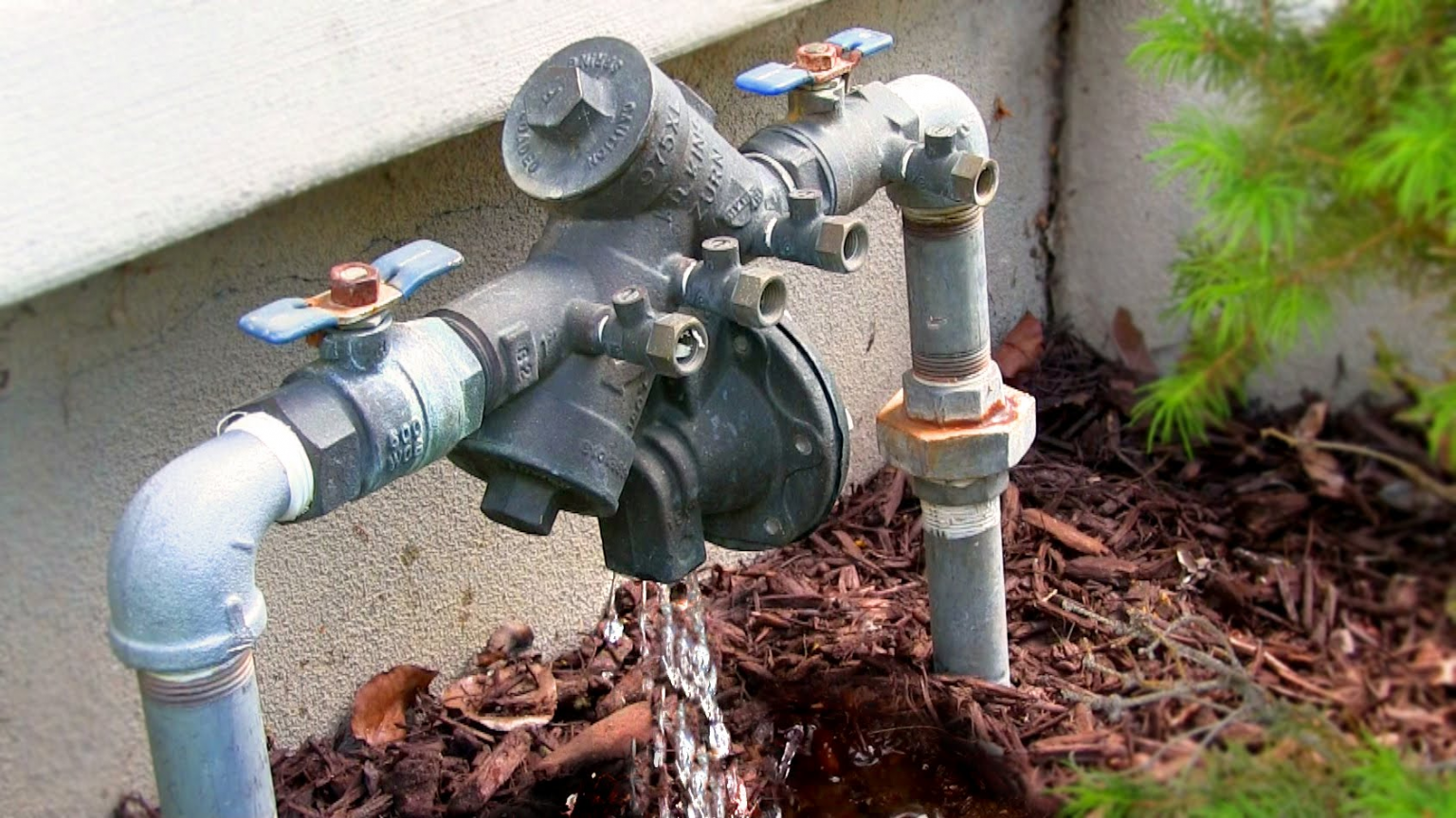 Sprinkler Riser Backflow Best backflow preventer for sprinkler systems - A Good Garden