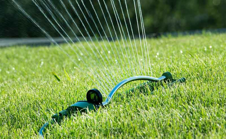 How Often Should You Water New Zoysia Sod A Good Garden How Often Should You Water New Zoysia Sod A Good Garden